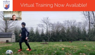 Virtual Training Now Available!